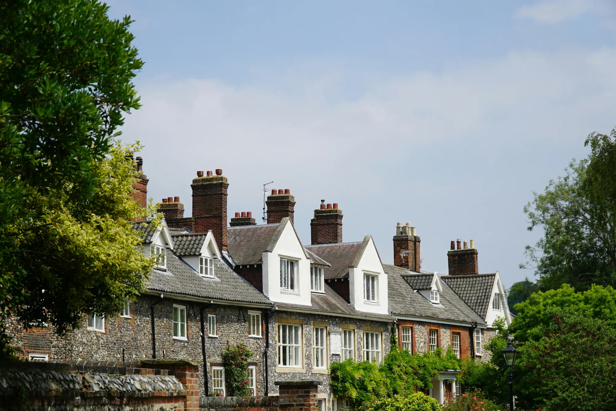 A leafy residential street and rooftops in Norwich